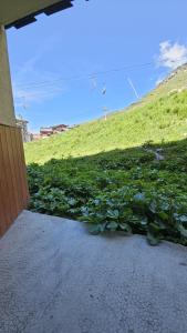 a field of green plants next to a house at Val Thorens - Ski InOut - 4 Beds Flat C-E19 in Béranger