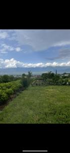 Sunset Cottage Busheti : منظر لحقل من العشب الأخضر مع سماء