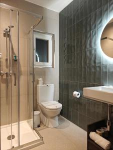 阿尔卜Veduta Ta Pinu Apartments with Stunning Views Garden Sauna Pool and Gym的浴室里有马桶、洗手池和淋浴。