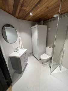 a bathroom with a sink and a toilet and a mirror at Arvoneliöt Lomahimos 18 in Jämsä