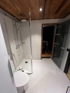 a bathroom with a shower and a toilet and a sink at Arvoneliöt Lomahimos 18 in Jämsä