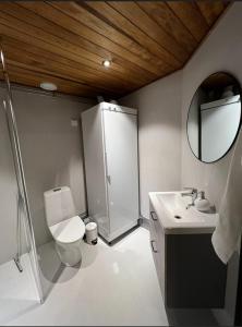 a bathroom with a toilet and a sink and a mirror at Arvoneliöt Lomahimos 17 in Jämsä