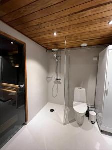 a bathroom with a shower and a toilet and a sink at Arvoneliöt Lomahimos 17 in Jämsä