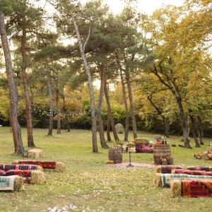 a group of hay bales in a field with trees at AGARANI Estate in Tʼelavi