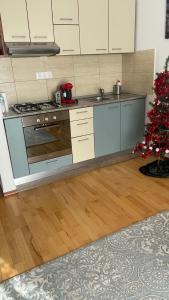 锡纳亚Apartament Stanca Piticului的厨房配有炉灶和圣诞树 更多22张照片