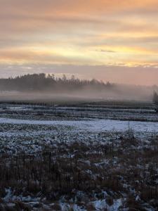 een veld met mist in een veld met bomen bij Helsingebockens Fastigheter  +3 foto's