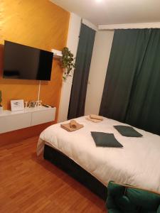 una camera da letto con un letto e una TV a schermo piatto di Apartman Rada 3 a Bijeljina