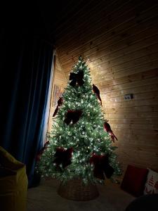 Fotografie z fotogalerie ubytování Cozy Home Buknari v destinaci Buknari