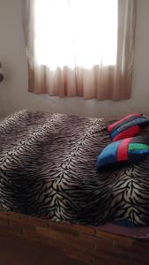 Φωτογραφία από το άλμπουμ του Al Diablo con Todo σε Punta Del Diablo