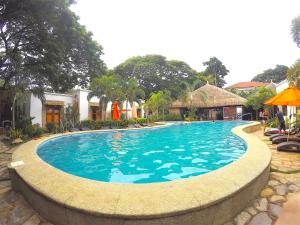 Bazén v ubytovaní Acacia Tree Garden Hotel alebo v jeho blízkosti