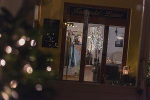 a store window with a christmas tree and a mirror at Penzion Královské lázně in Poděbrady