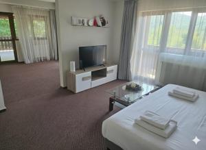 Μια τηλεόραση ή/και κέντρο ψυχαγωγίας στο Cornu Complex MEM