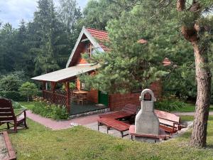 Κήπος έξω από το Domek z bala Mazury