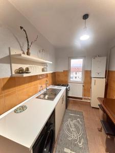 eine Küche mit Spüle und Geschirrspüler in der Unterkunft Rent Apartments Barlad 2 in Bîrlad