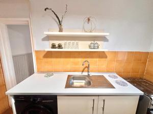 eine Küche mit Spüle und Arbeitsplatte in der Unterkunft Rent Apartments Barlad 2 in Bîrlad