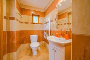 a bathroom with a toilet and a sink at Apartmány Koloniál in Rokytnice nad Jizerou