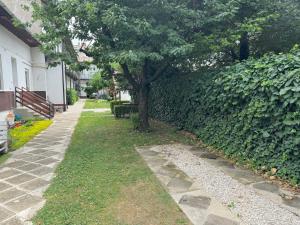 a tree sitting next to a green hedge at DowntownKate in Debrecen
