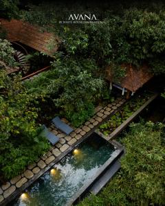 Příroda nedaleko rezortu