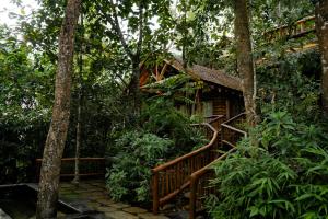 Zahrada ubytování Avana Holiday Experiences,Wayanad