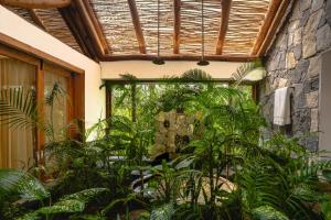 Zahrada ubytování Avana Holiday Experiences,Wayanad + 3 fotografie