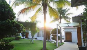 En have udenfor Tripura Resort