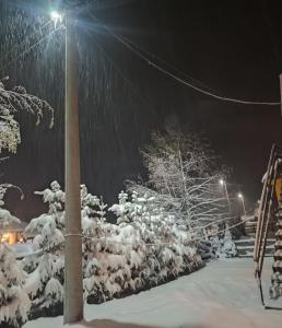 Sekulić にあるCozy Cabinの夜の雪に覆われた街灯