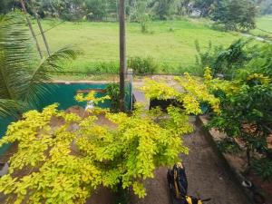 En have udenfor villa Calm Haven + 57 billeder