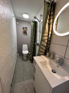 een badkamer met een wastafel, een toilet en een spiegel bij The Cozy Cave Odense Center in Odense