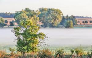 Phong cảnh thiên nhiên gần nhà nghỉ dưỡng