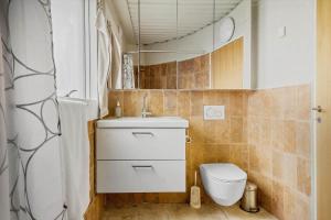 a bathroom with a toilet and a sink and a mirror at 302-Snedsted-Klitfogedvej-7 in Snedsted