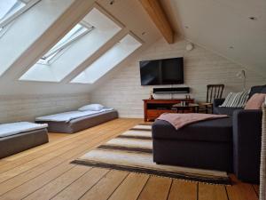 a attic living room with a skylight at Modern Cottage with Sea View in Svanesund SE09151 in Svanesund