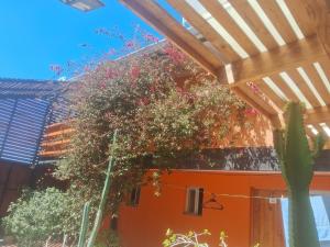 Κήπος έξω από το San Lorenzo