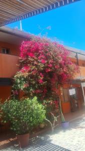 Το κτήριο όπου στεγάζεται  το bed & breakfast +10 φωτογραφίες