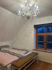 Φωτογραφία από το άλμπουμ του An der Heide 