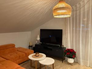 a living room with a couch and a flat screen tv at Sunset Apartment, rõduga korter uues majas! in Viljandi