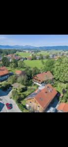 Naturlandskabet i nærheden af lejligheden