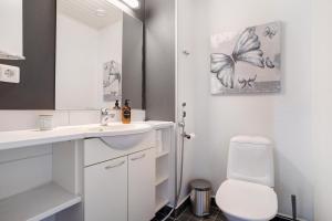 罗瓦涅米Santalux Apartment 2 By Lapland Host的浴室里有马桶、洗手池和镜子。