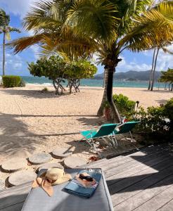 a table and chairs on a beach with palm trees at Superbe T2 Sole e Mare NBBC sur la plage de Baie Nettlé in Baie Nettle