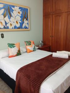 Triana Guest House في فوز دو إيغواسو: غرفة نوم بها سرير ولوحة على الحائط