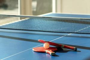 a pair of ping pong balls on a tennis court at 212-Vestervig-Havnevej-1-lejl-12 in Vestervig
