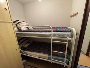 a bunk bed with a dog laying on top of it at Appartement 2 pièces Griou 52 in Le Lioran