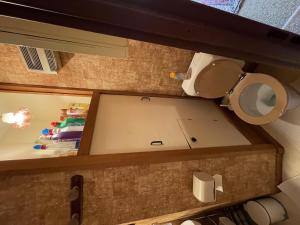a bathroom with a toilet and a mirror at Appartement 2 pièces Griou 52 in Le Lioran