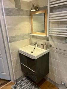 een badkamer met een wastafel en een spiegel bij Le Cocon de la Trinité T22 in Troyes +17 foto's