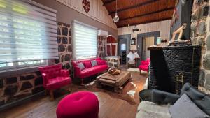 Oceana Suites San José de Maipo في إل كانيلو: غرفة معيشة بأثاث وردي اللون وجدار حجري