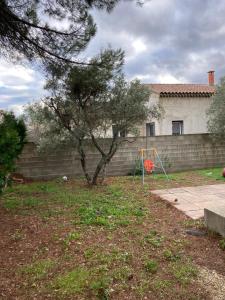 un arbre dans une cour devant une maison dans l'établissement Maison de vacances et de paix, à Monteux