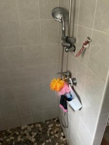 une douche dans une salle de bain avec une pomme de douche dans l'établissement Maison de vacances et de paix, à Monteux