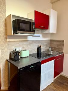 een keuken met een spoelbak en een magnetron bij La Grande escapade T12 in Troyes