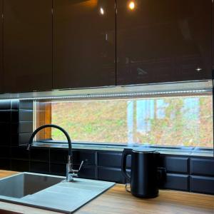 Η κουζίνα ή μικρή κουζίνα στο Gorje Tara +22 φωτογραφίες