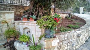Vonkajšia záhrada v ubytovaní Tzitzifes Stone Mansion