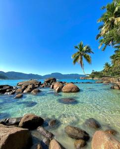 una spiaggia con rocce e una palma in acqua di Canto Sereno Refúgio entre Praias e Ilhas a Parati